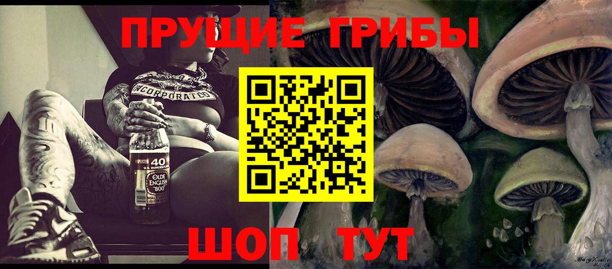 купить  цена  Псилоцибиновые грибы мицелий  Вход с VPN  Лабинск 